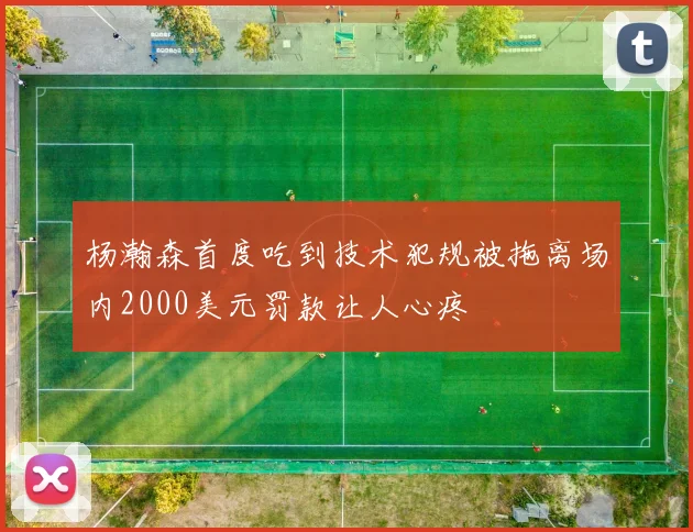 杨瀚森首度吃到技术犯规被拖离场内2000美元罚款让人心疼