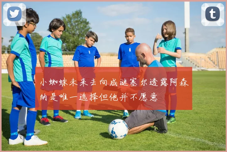 小蜘蛛未来去向成谜塞尔透露阿森纳是唯一选择但他并不愿意