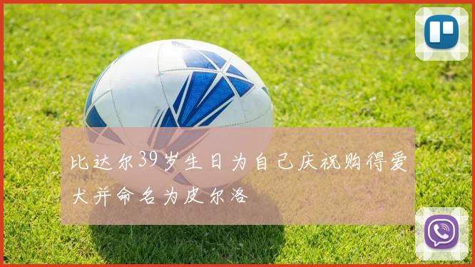比达尔39岁生日为自己庆祝购得爱犬并命名为皮尔洛