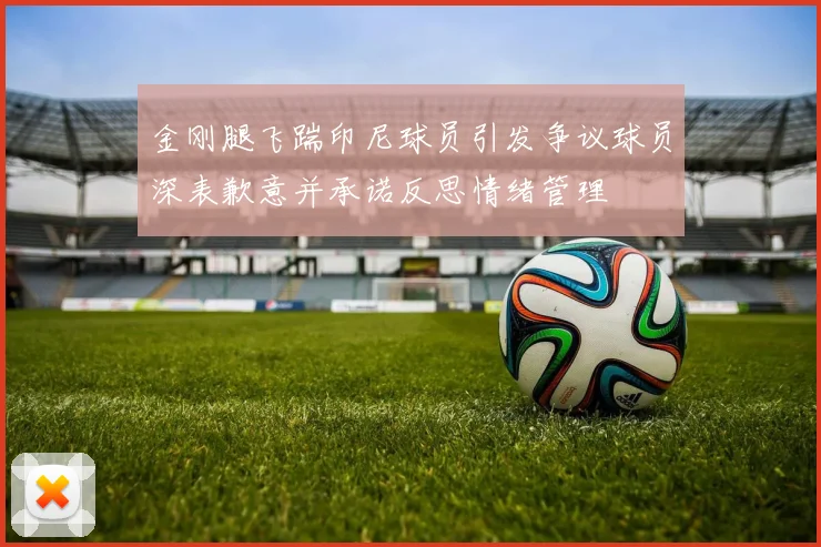 金刚腿飞踹印尼球员引发争议球员深表歉意并承诺反思情绪管理