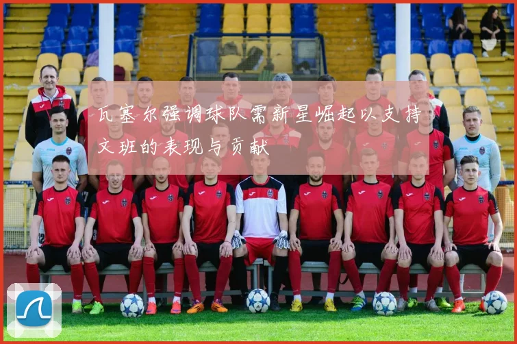 瓦塞尔强调球队需新星崛起以支持文班的表现与贡献